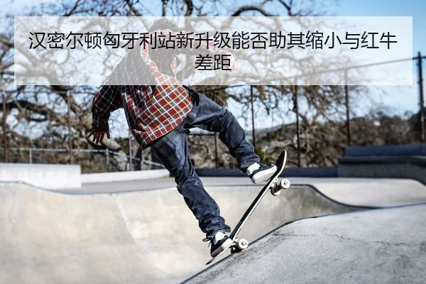 han-mi-er-dun-xiong-ya-li-zhan-xin-sheng-ji-neng-fou-zhu-qi-suo-xiao-yu-hong-niu-cha-ju-2-205.jpg